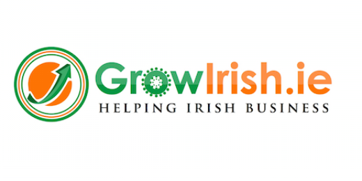 GrowIrishBiz's profile banner image