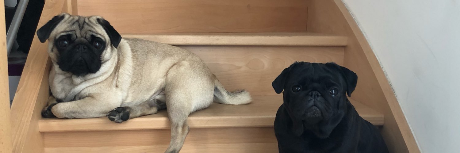 Pidi banner