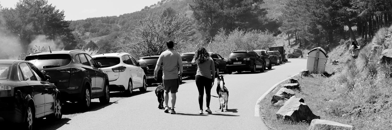 MoniGonzalez16's profile banner image