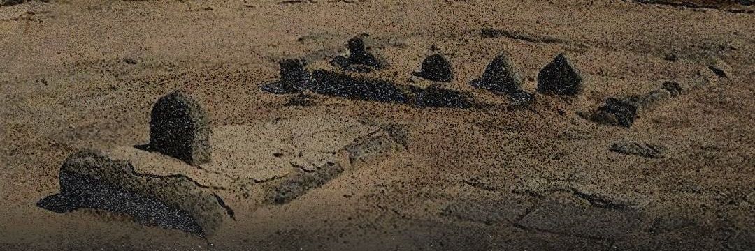 رَواحُهَا الرّيحَان's banner