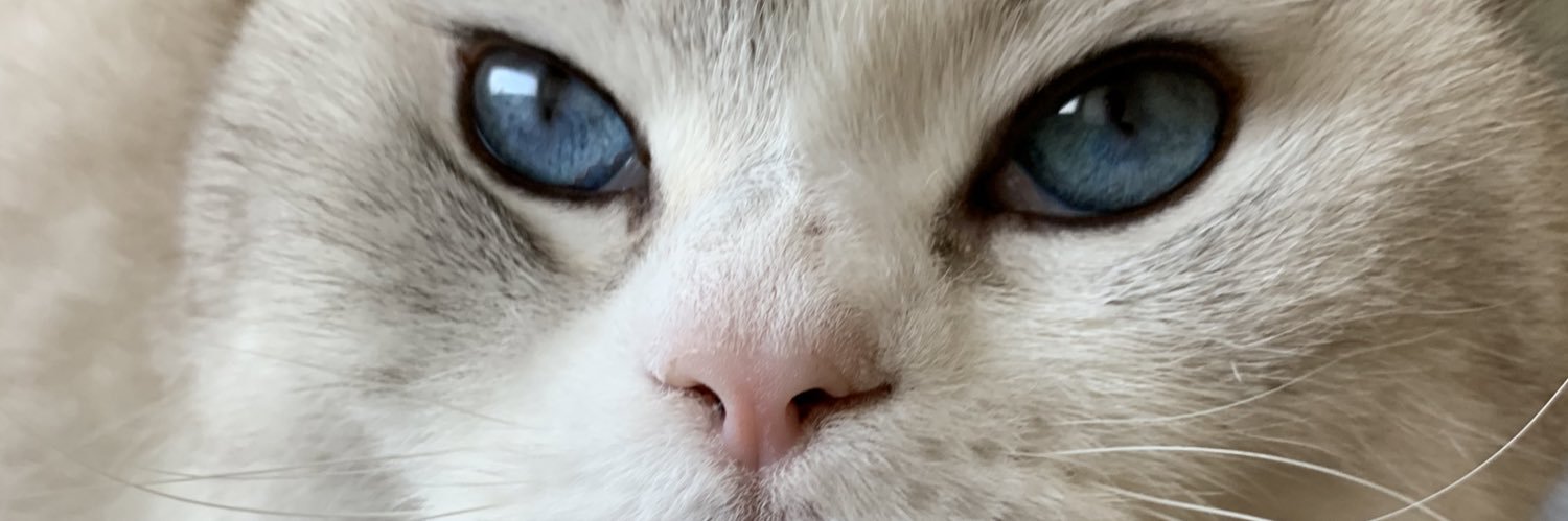 inceozgur's profile banner image
