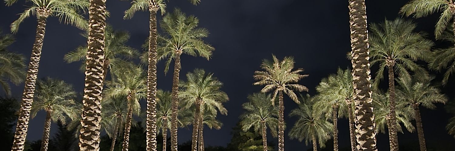 MaiAlSarraf's profile banner image