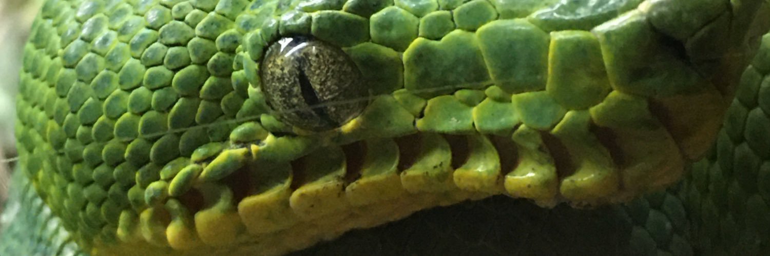 LynnNeidig's profile banner image