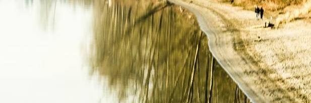 hzator's profile banner image