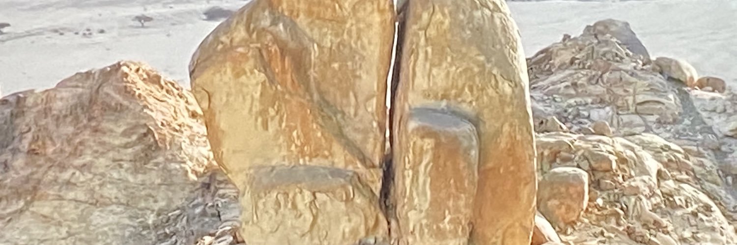 Shergitronik's profile banner image