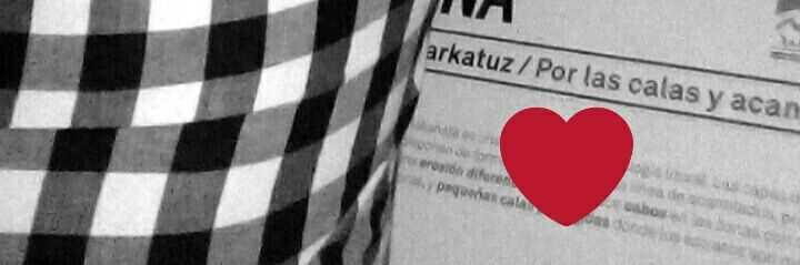 aneuria97's profile banner image