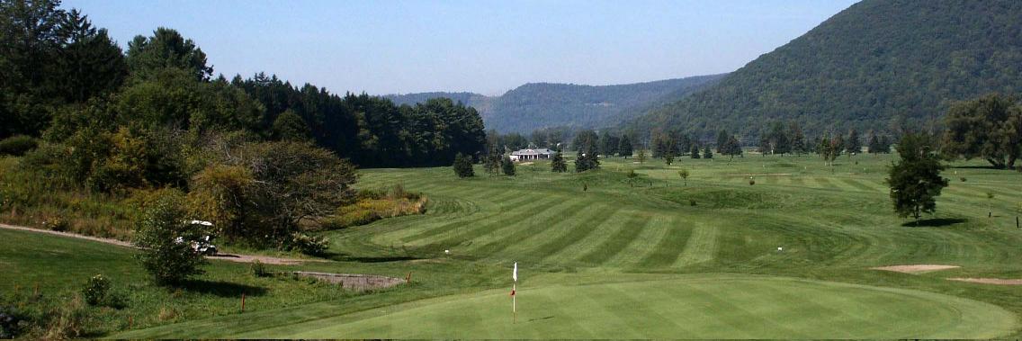 The College Golf Course at Delhi banner