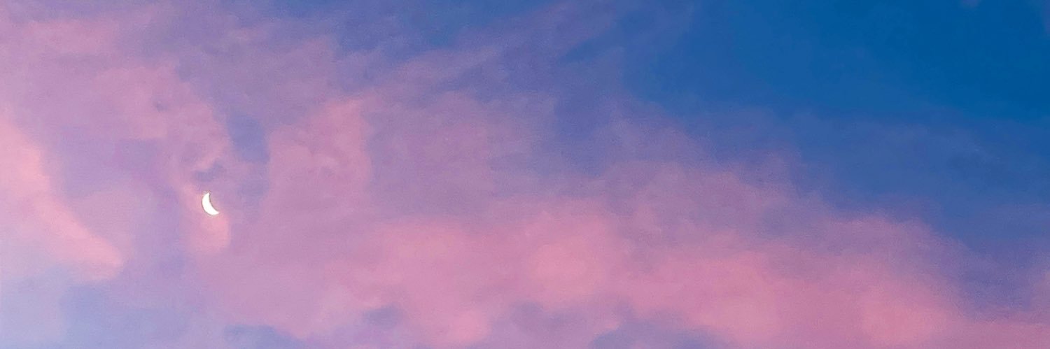 aleviza banner
