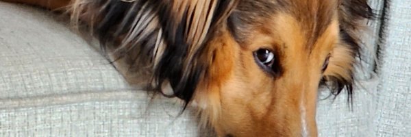 B_radCR Profile Banner