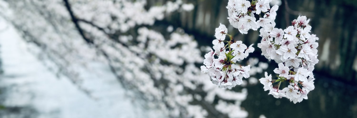 Daniel Vidaud banner