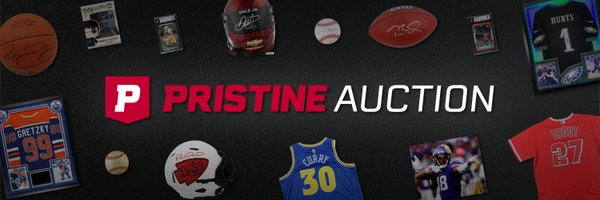 Pristine Auction Profile Banner