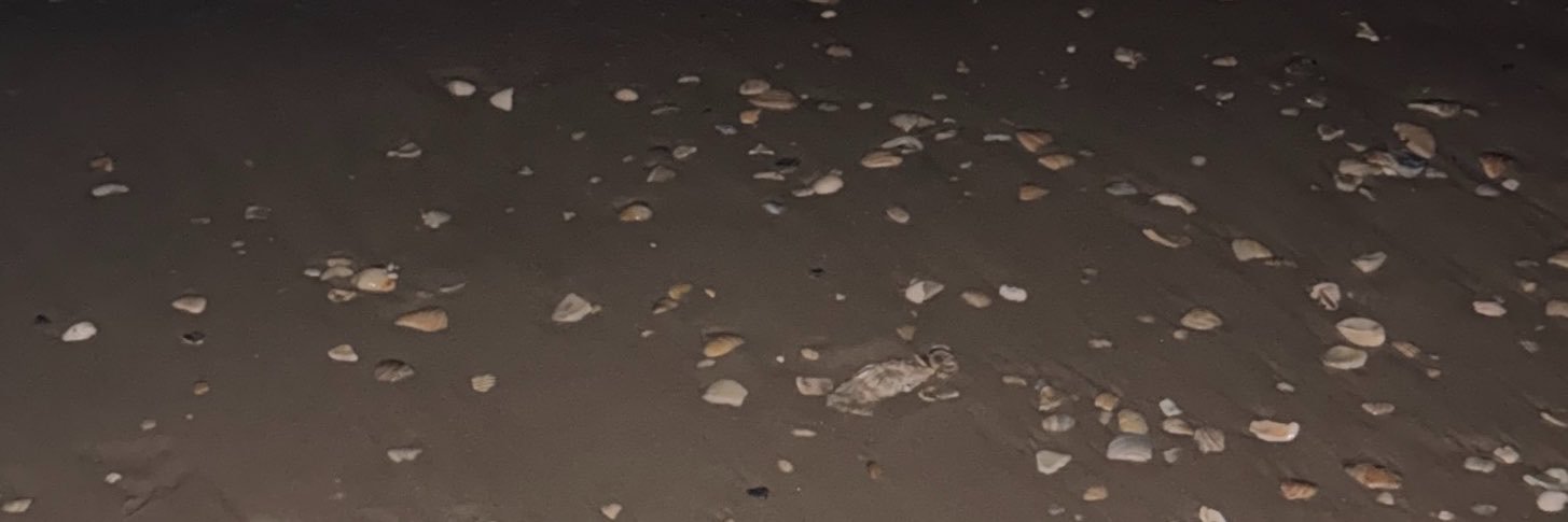 adrugxadream's profile banner image