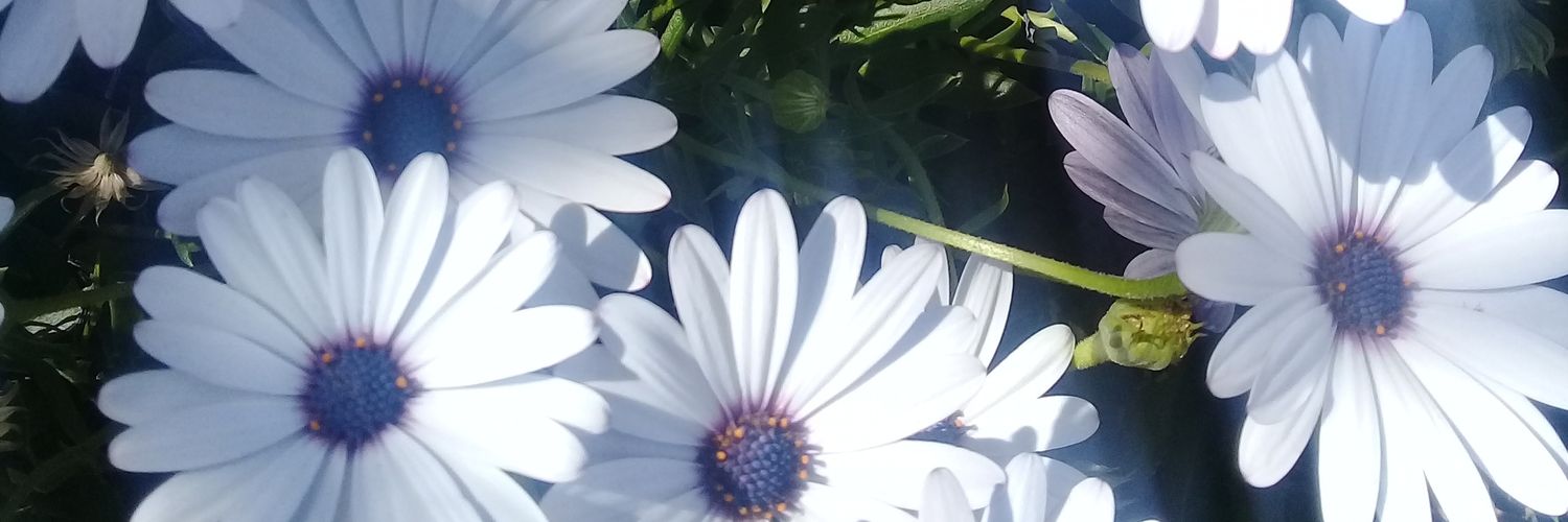 RealRele's profile banner image
