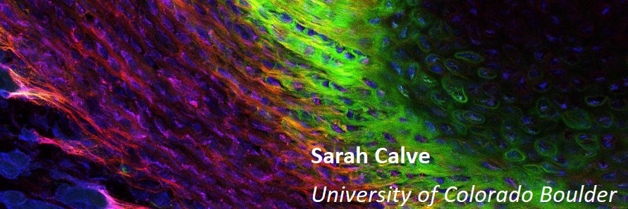 amsocmatbio's profile banner image