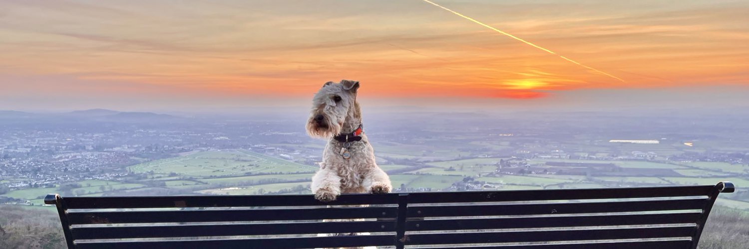 Bertie Lakeland Profile Banner