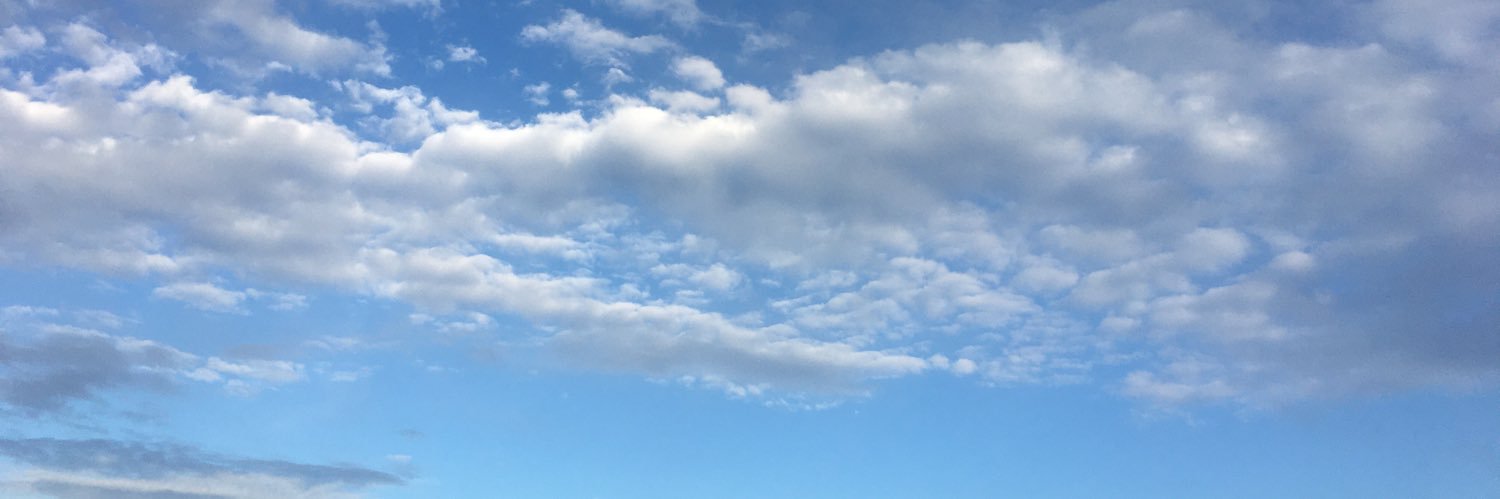 AbbotsinTransition banner