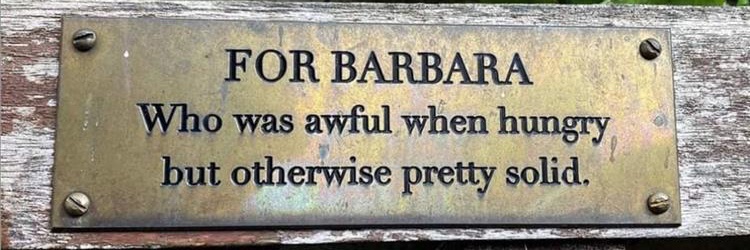 Barbara Biasi's banner