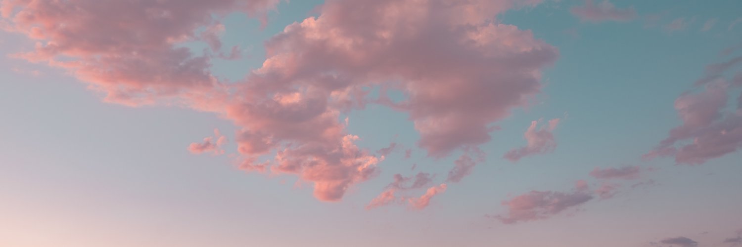 Amy Selle banner