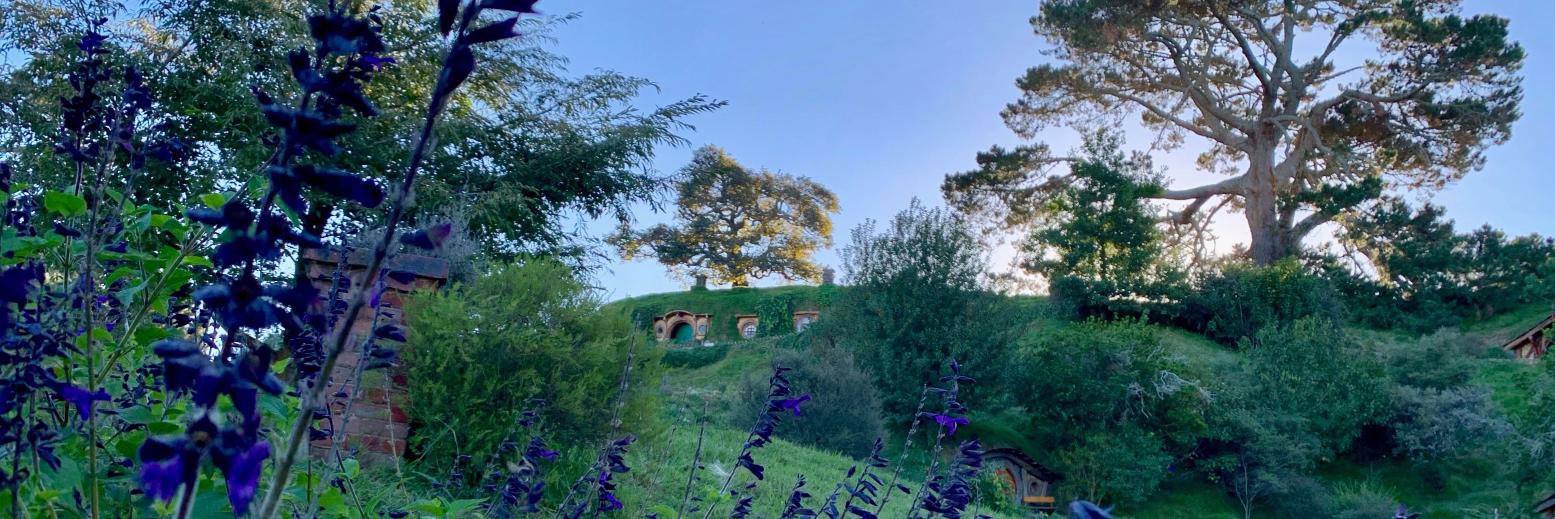 Linda Iroff 🌈✡️ 🌻 banner