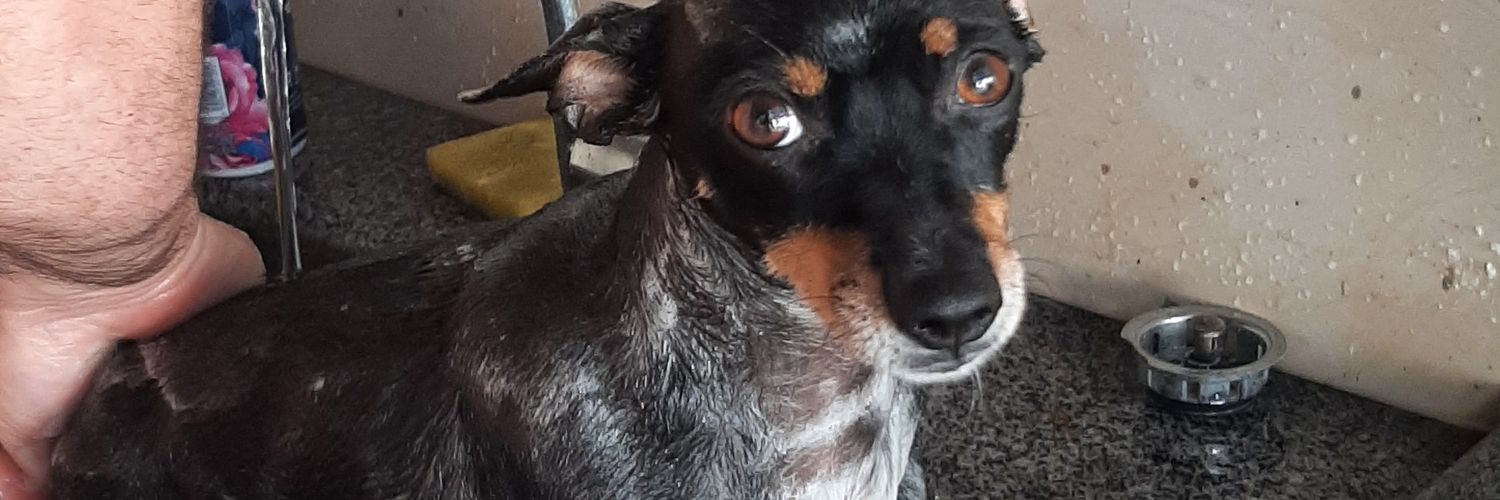 coneguicua's profile banner image
