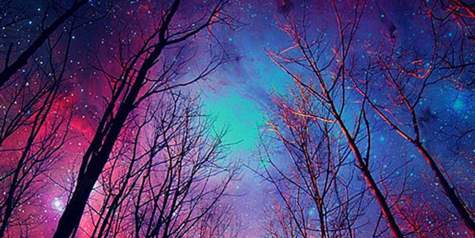 Shady_Alzarka's profile banner image
