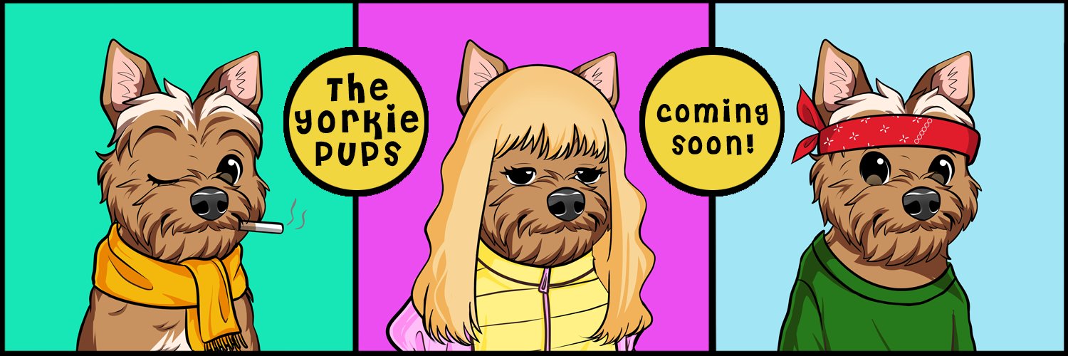 TheYorkiePups's profile banner image