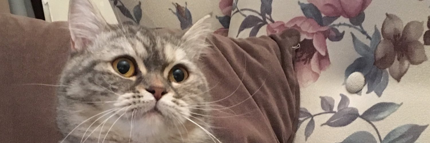 ofozer's profile banner image