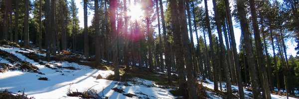 vicenteugalde Profile Banner