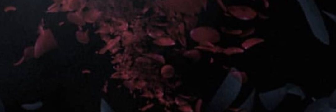 hhstannous's profile banner image