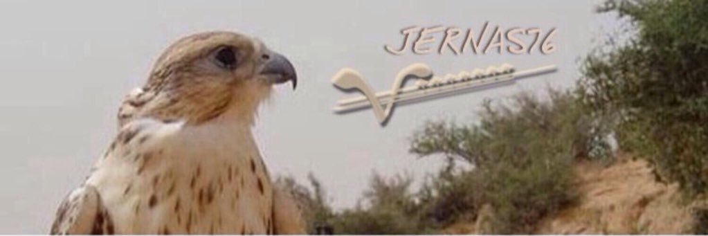 JERNAS76's profile banner image