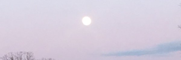 CoachRonnie Profile Banner