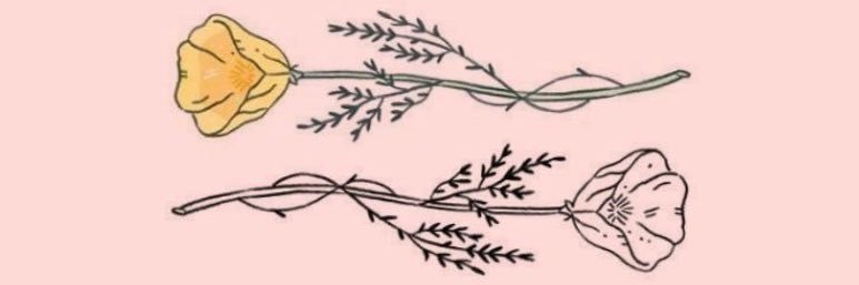 leeenns____'s profile banner image