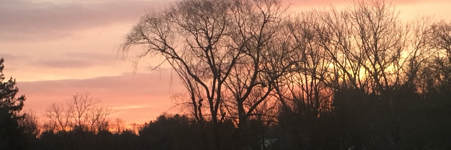 bigbrandjohn's profile banner image