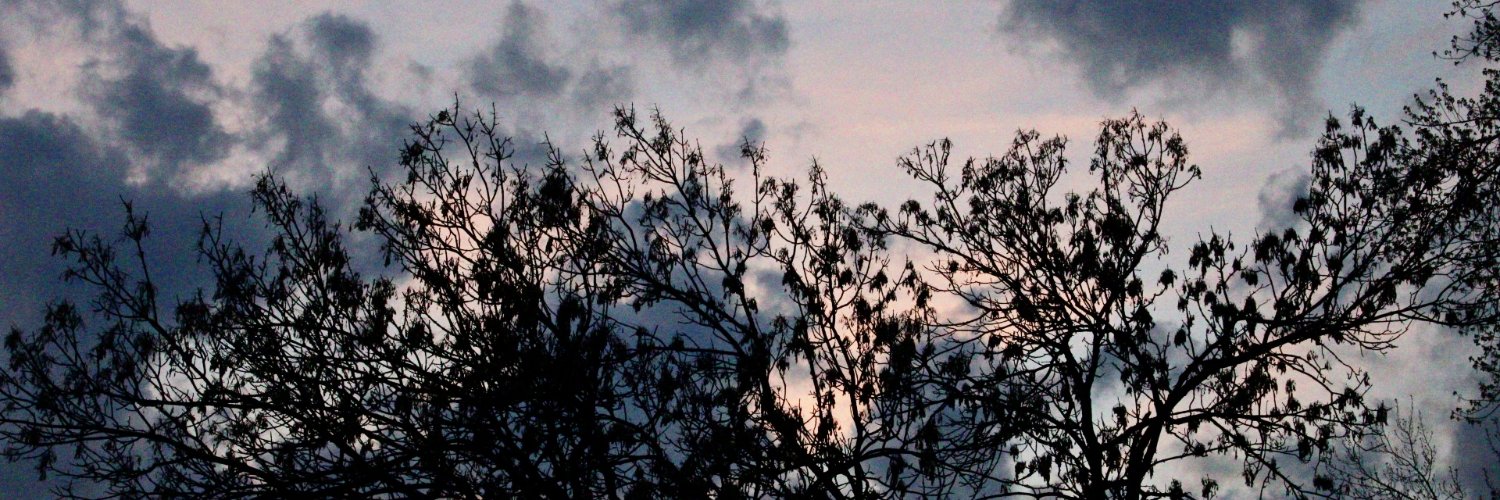 Forrest Barclay banner