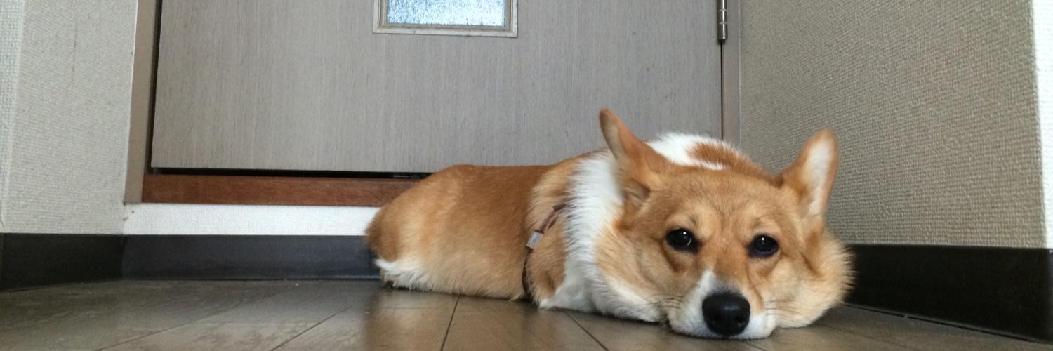 punktaroo2's profile banner image