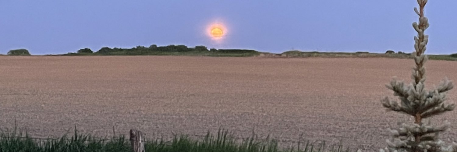 vicsgro's profile banner image