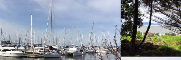 ArianaFord9 Profile Banner