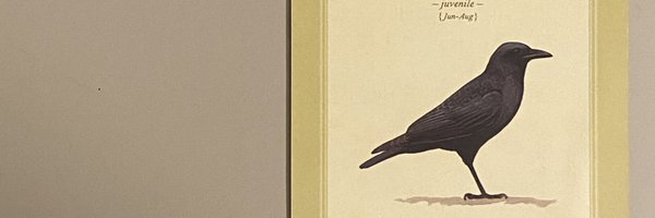 wasabigelato Profile Banner