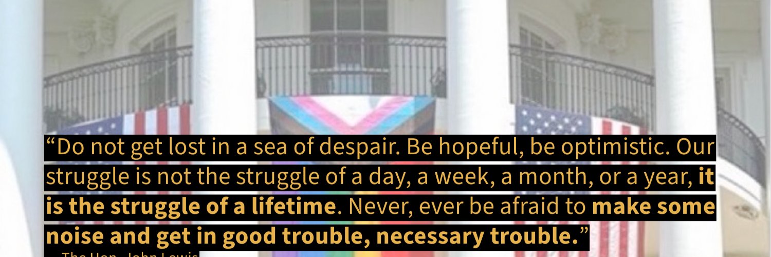 Jonathan D. Lovitz banner