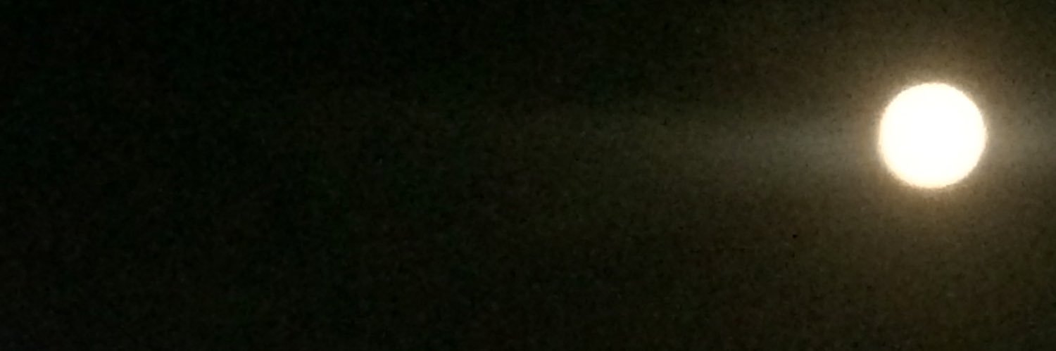 ziyatekin2004's profile banner image