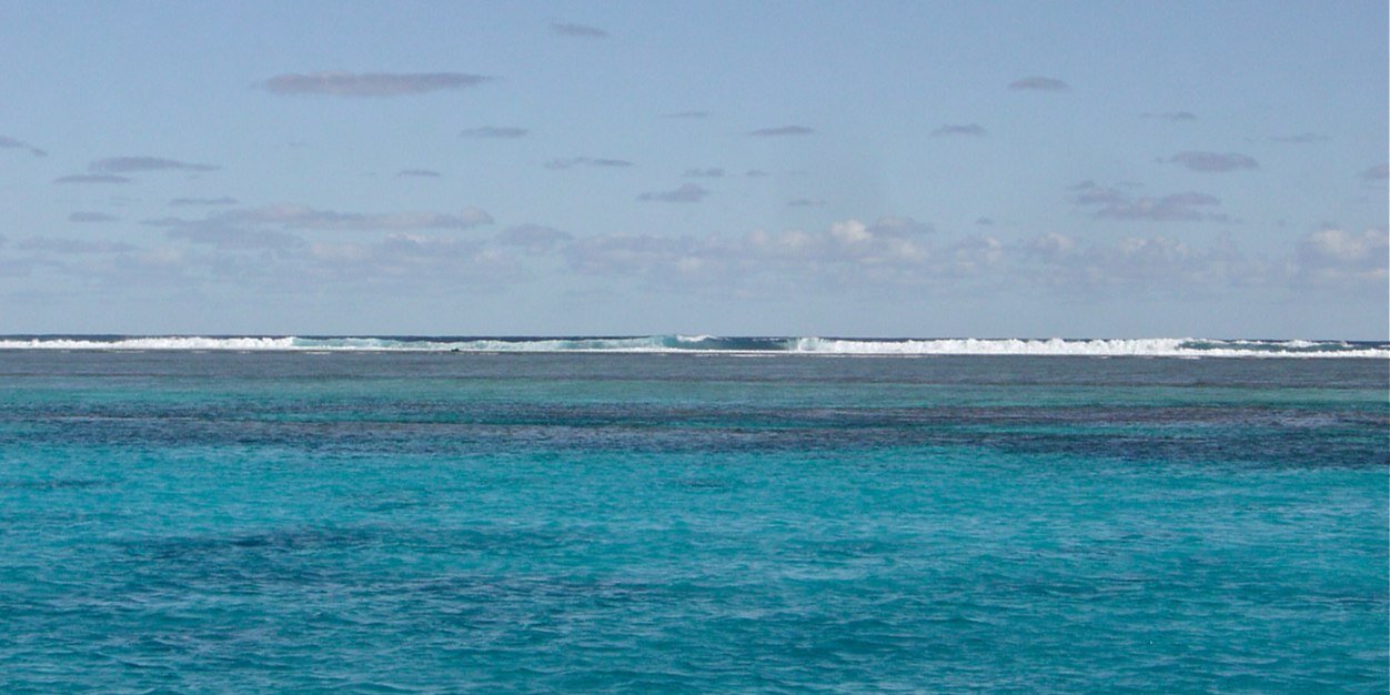 Mathias Chauchat banner