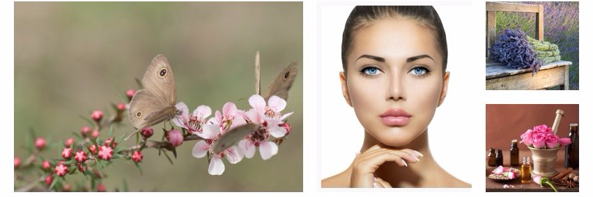 IndiraOrganics's profile banner image