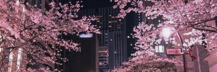 lilshawy7's profile banner image