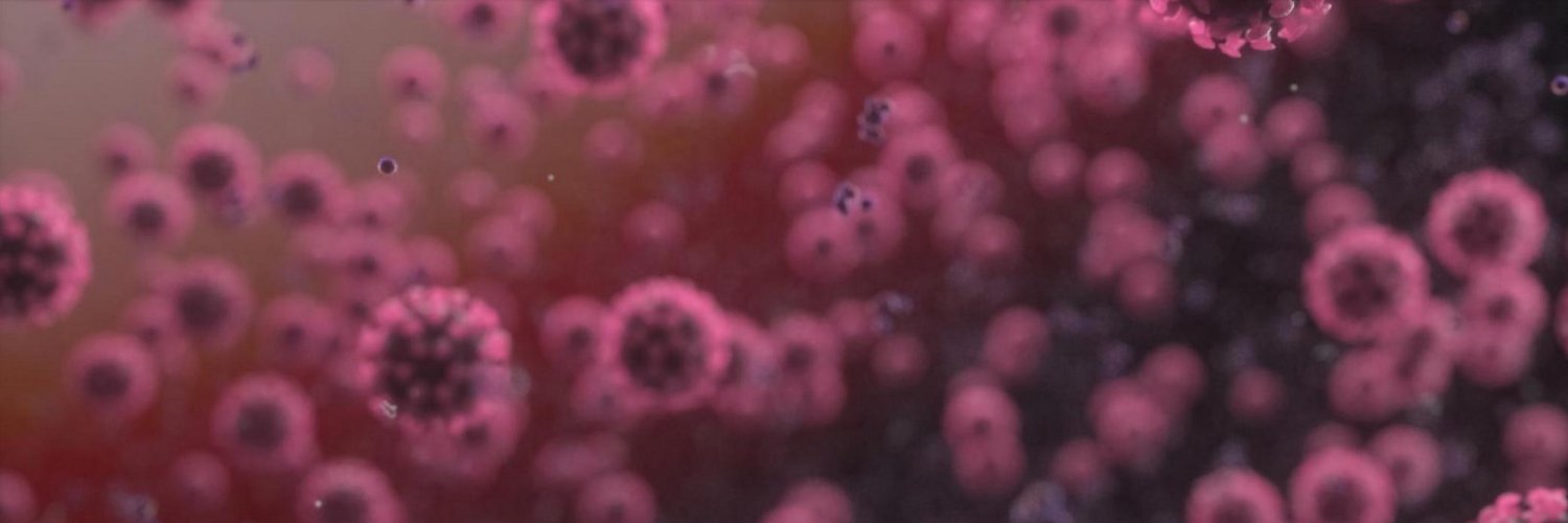 SutTakova's profile banner image