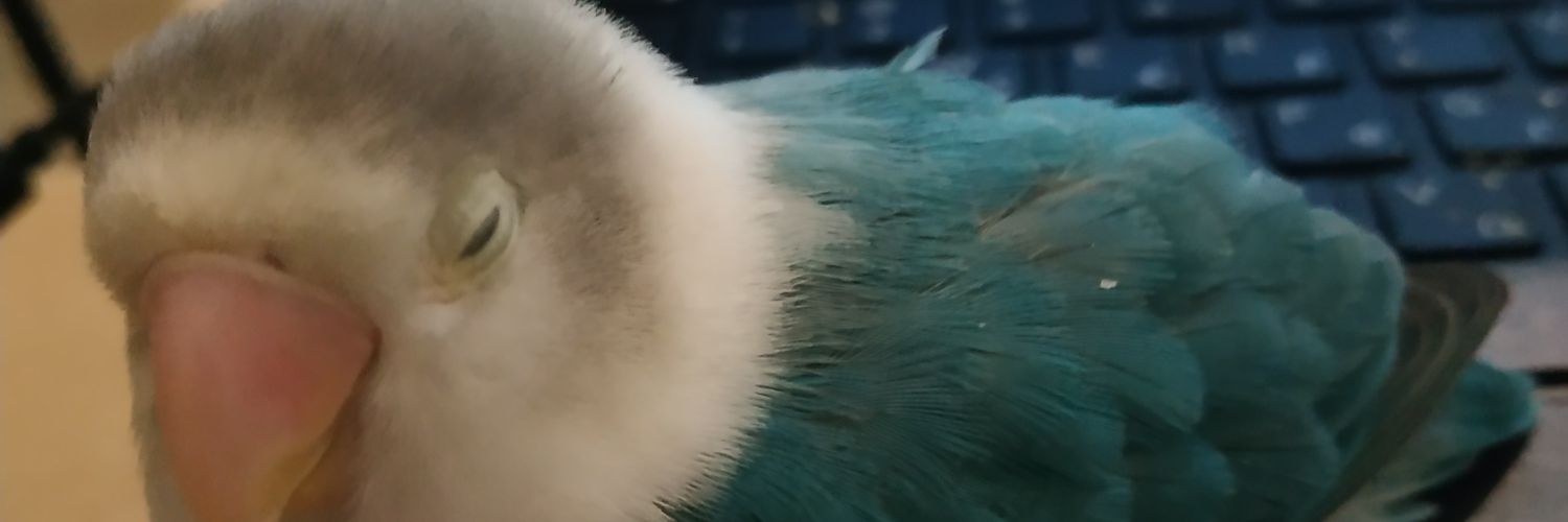 Loucanroc's profile banner image