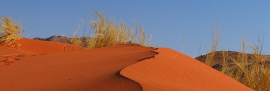 sylvain_chereau's profile banner image