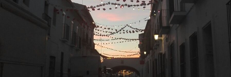 gloriatroca's profile banner image