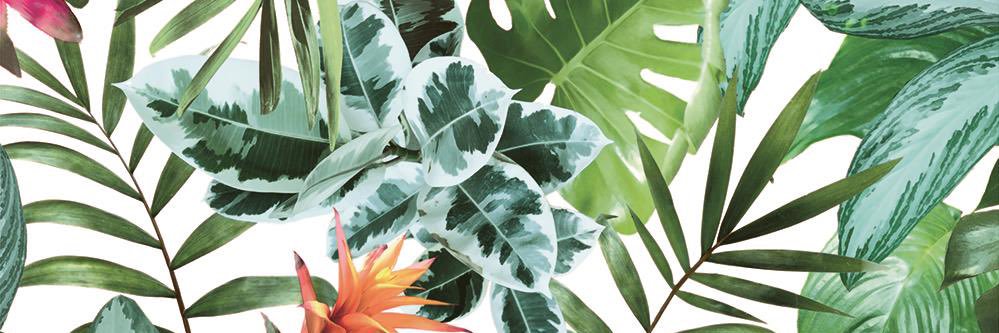 GeorgiaStock's profile banner image