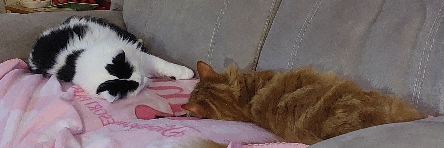 Donna Trowsdale banner