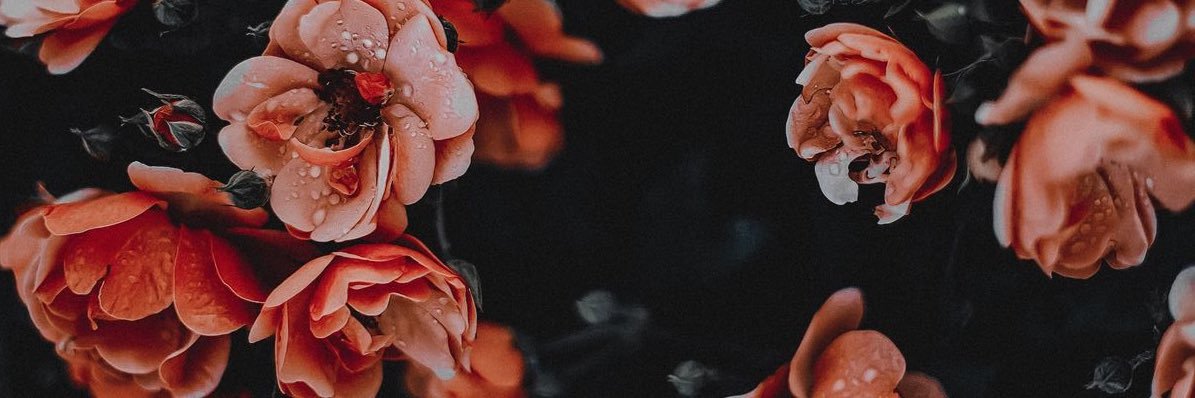 lauraespersen's profile banner image